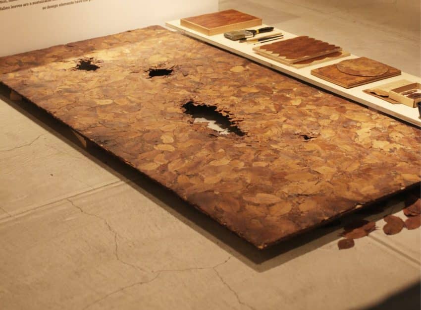 Project: Bio-Vide/ Board of Autumn, 2014
