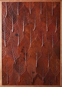 Project: Bio Vide, Board Of Autumn 07, 2023